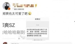娱乐营销爆料,揭秘明星效应背后的商业秘密